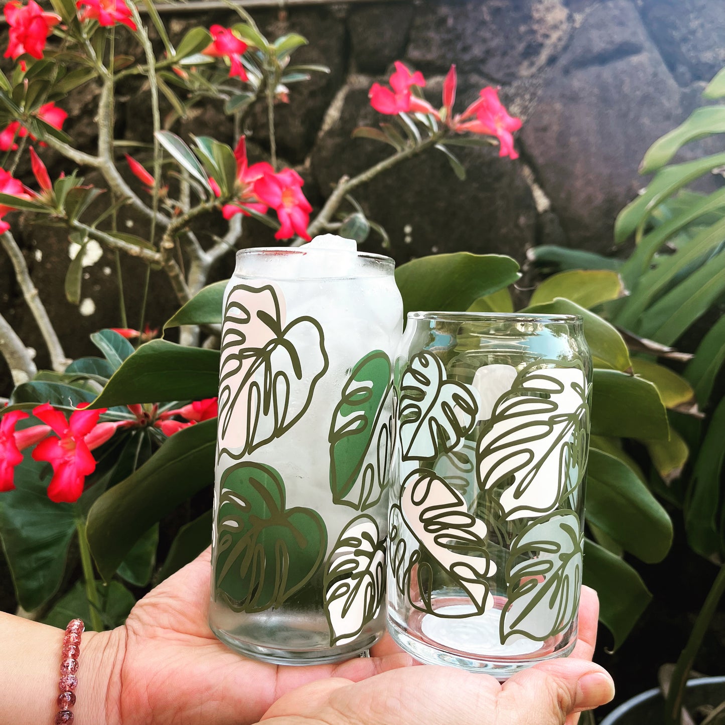Variegated Monstera with Green (cold) color changing features